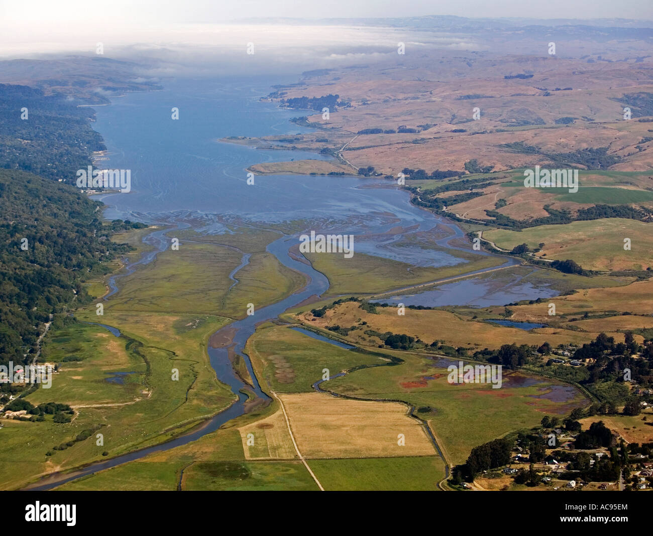 Vista aerea al di sopra di San Andreas anomalia a Tomales Bay verso nordovest Marin County in California Foto Stock