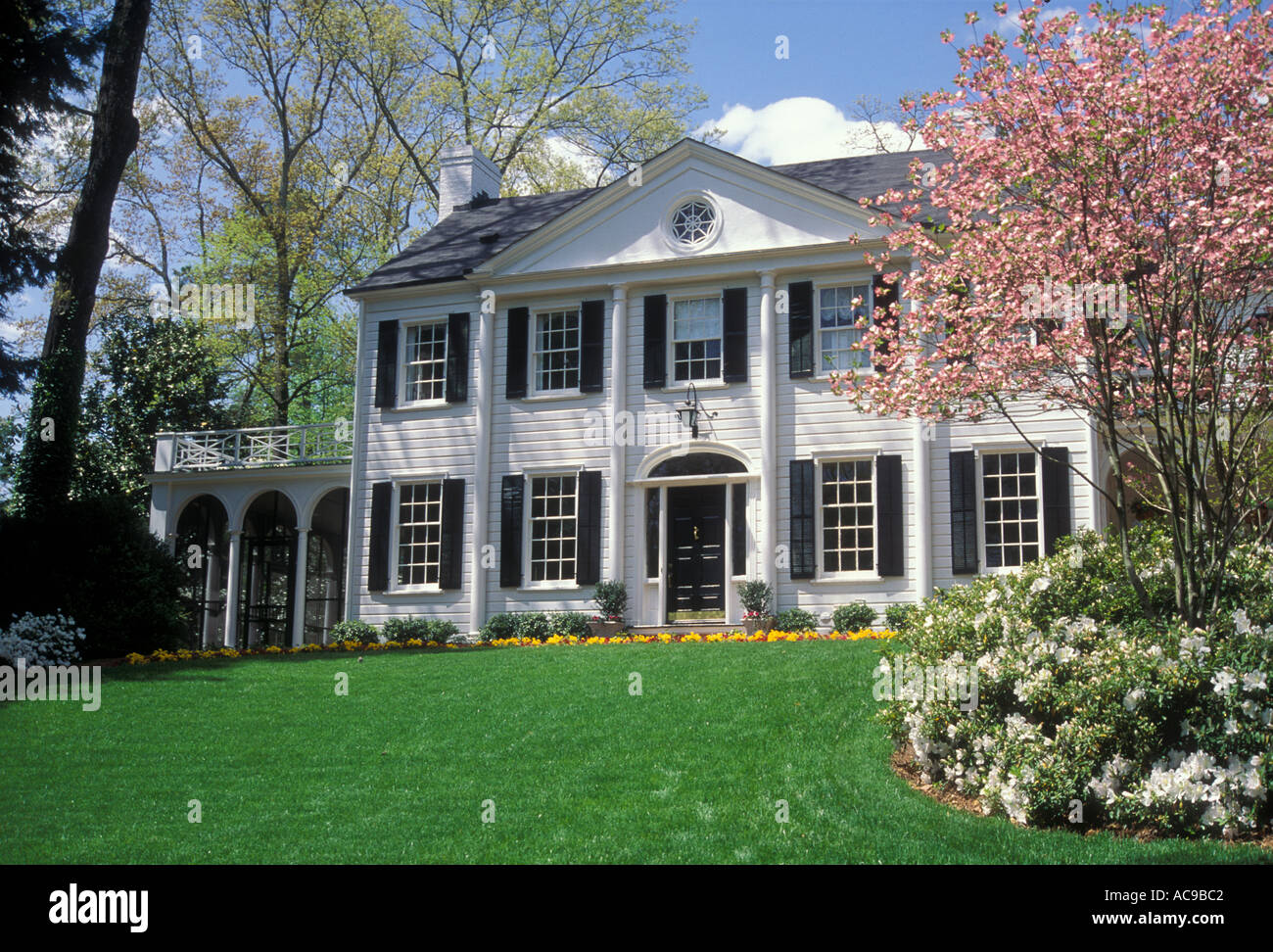 Vista di un bianco coloniale Georgiano home con il rosa sanguinello alberi prato delle colonne Foto Stock