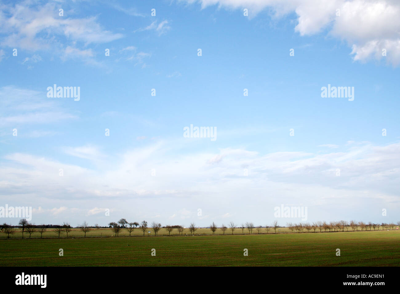 Ampio campo verde aperto sotto un cielo azzurro limpido con una linea di alberi lontani. Una tranquilla scena rurale che mette in mostra la semplicità della natura. Foto Stock