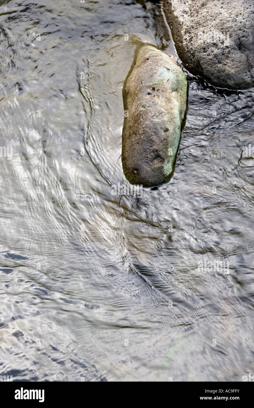 Close up di acqua corrente in Iao Valley State Park in Maui Hawaii Foto Stock