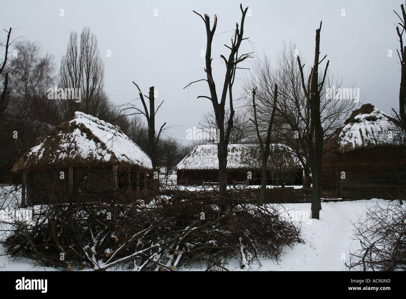 Inverno Pirohovo vicino a Kiev, Ucraina Foto Stock