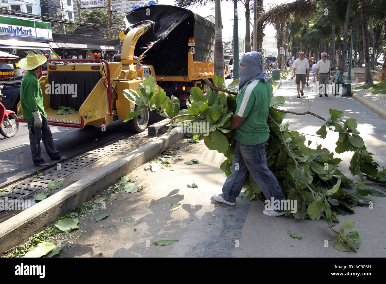"L'albero di trinciatura e Street equipaggio di manutenzione sulla strada della spiaggia di Pattaya Thailandia" Foto Stock