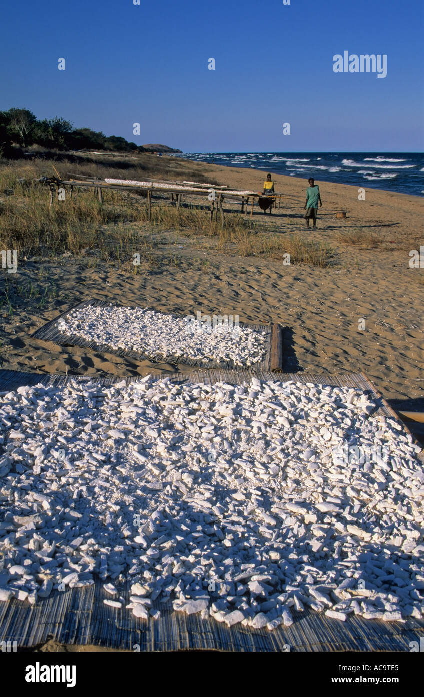 La Manioca di essiccazione al sole, il Lago Malawi vicino Kande, Malawi Foto Stock