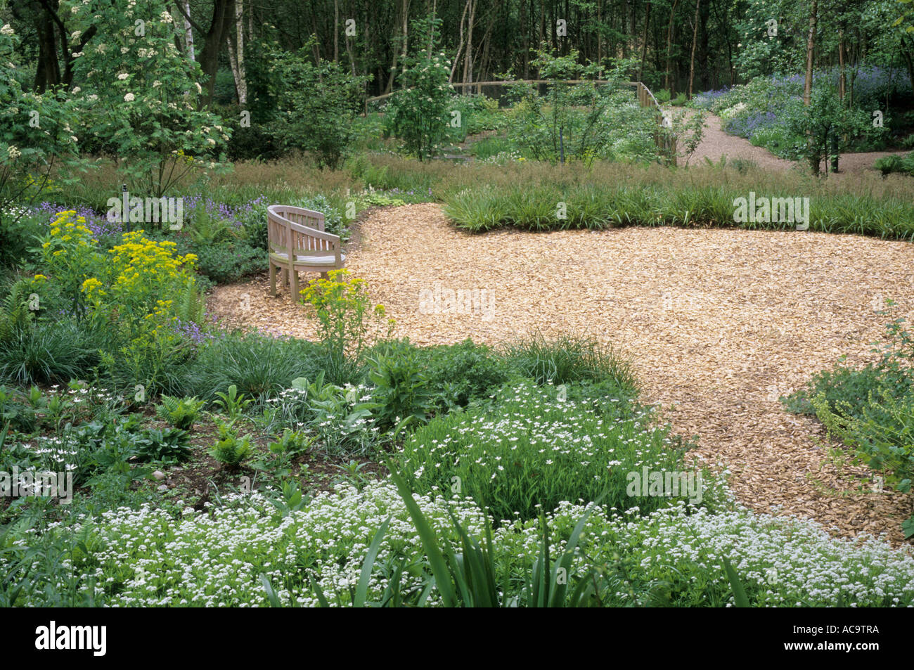 Woodland piantagione di trucioli di legno, percorso da banco, Onda Pensthorpe giardino, Norfolk, designer Julie pedaggio Foto Stock