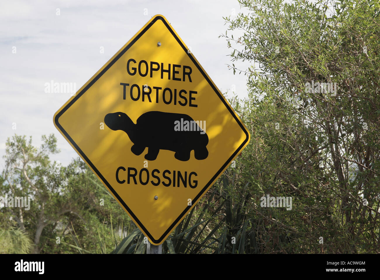 Segno 'Tartaruga Gopher crossing', Myakka River State Park, Florida, Stati Uniti d'America Foto Stock