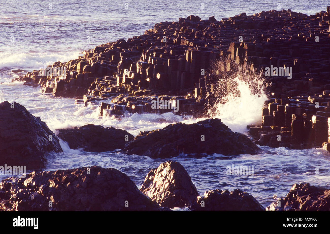 Le colonne di basalto dei Giganti Causeway, County Antrim, Irlanda del Nord Foto Stock