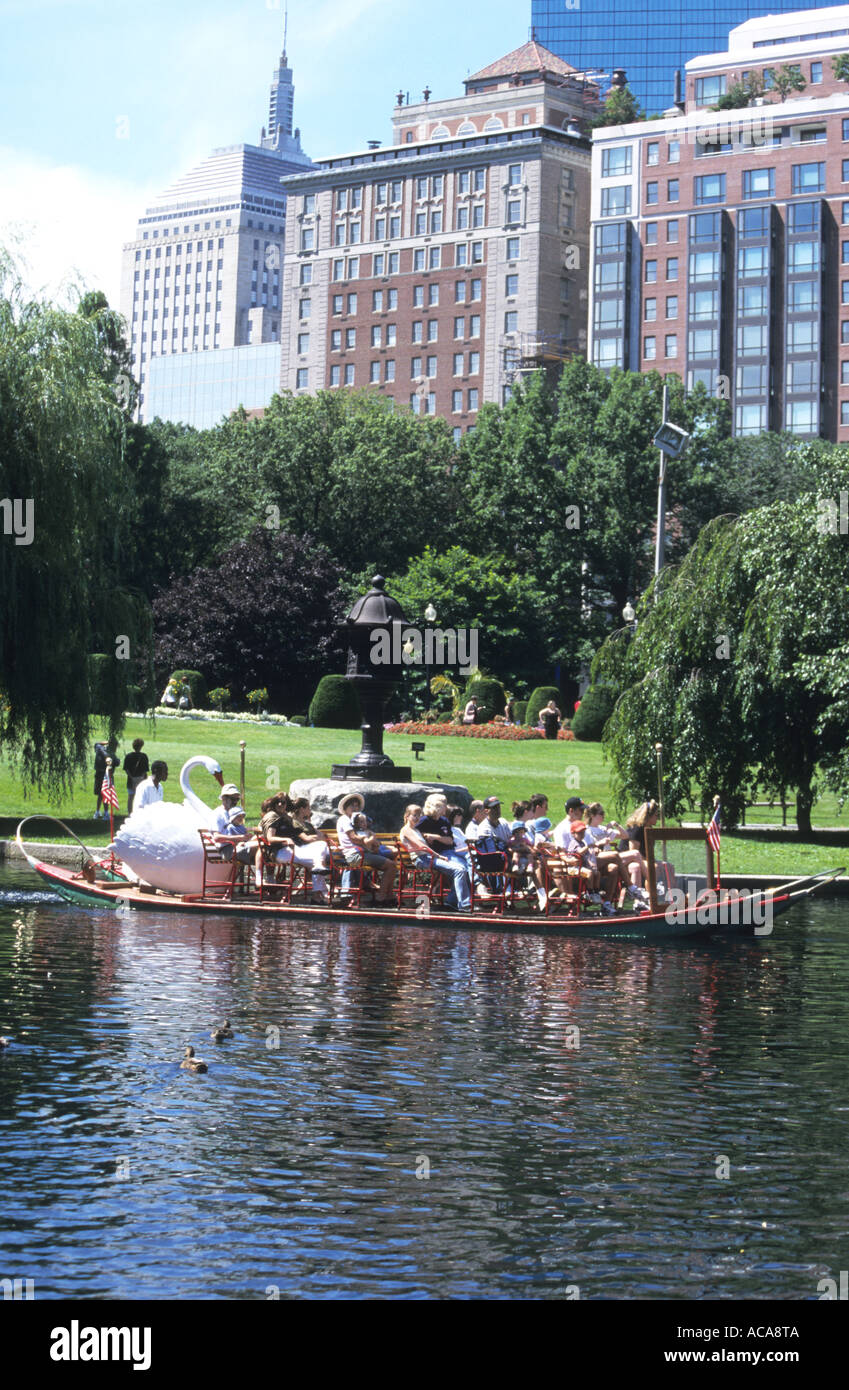 Parapendio sul lago in barche Swan è un popolare ricreazione da locali e turisti in Boston's Giardini Pubblici,Massachusetts,USA Foto Stock