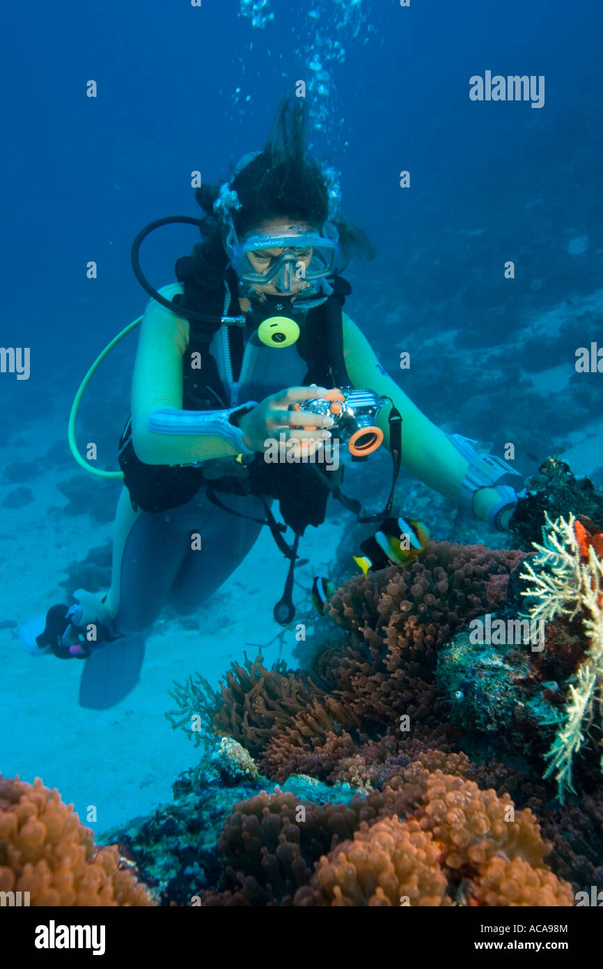 Subacqueo con una fotocamera digitale subacquea fotografie di pesce di anemone Foto Stock