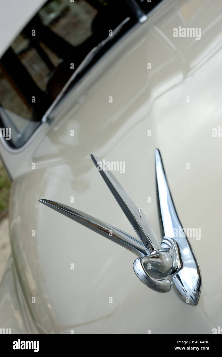 Woodies nella California del Sud, classic in pannelli di legno di grandi station wagon associate con il surf cultura degli anni cinquanta Foto Stock