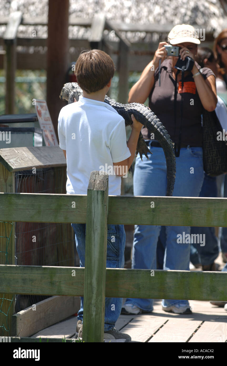 Tourist pone con giovani alligator Gator Park Miami in Everglades National Park Florida USA Foto Stock