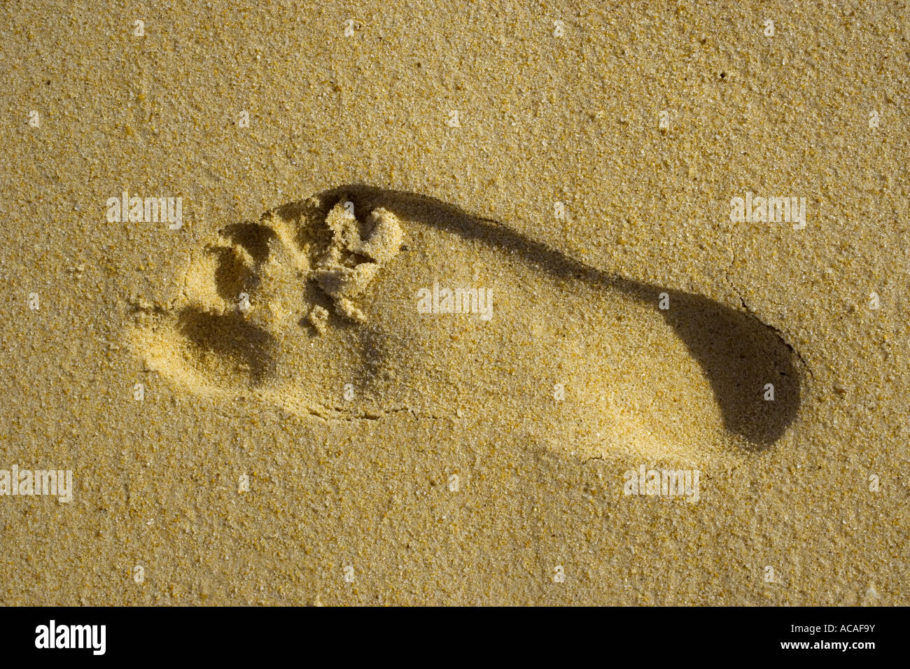 Footprint, impronta in sabbia, spiaggia, colophon Foto Stock
