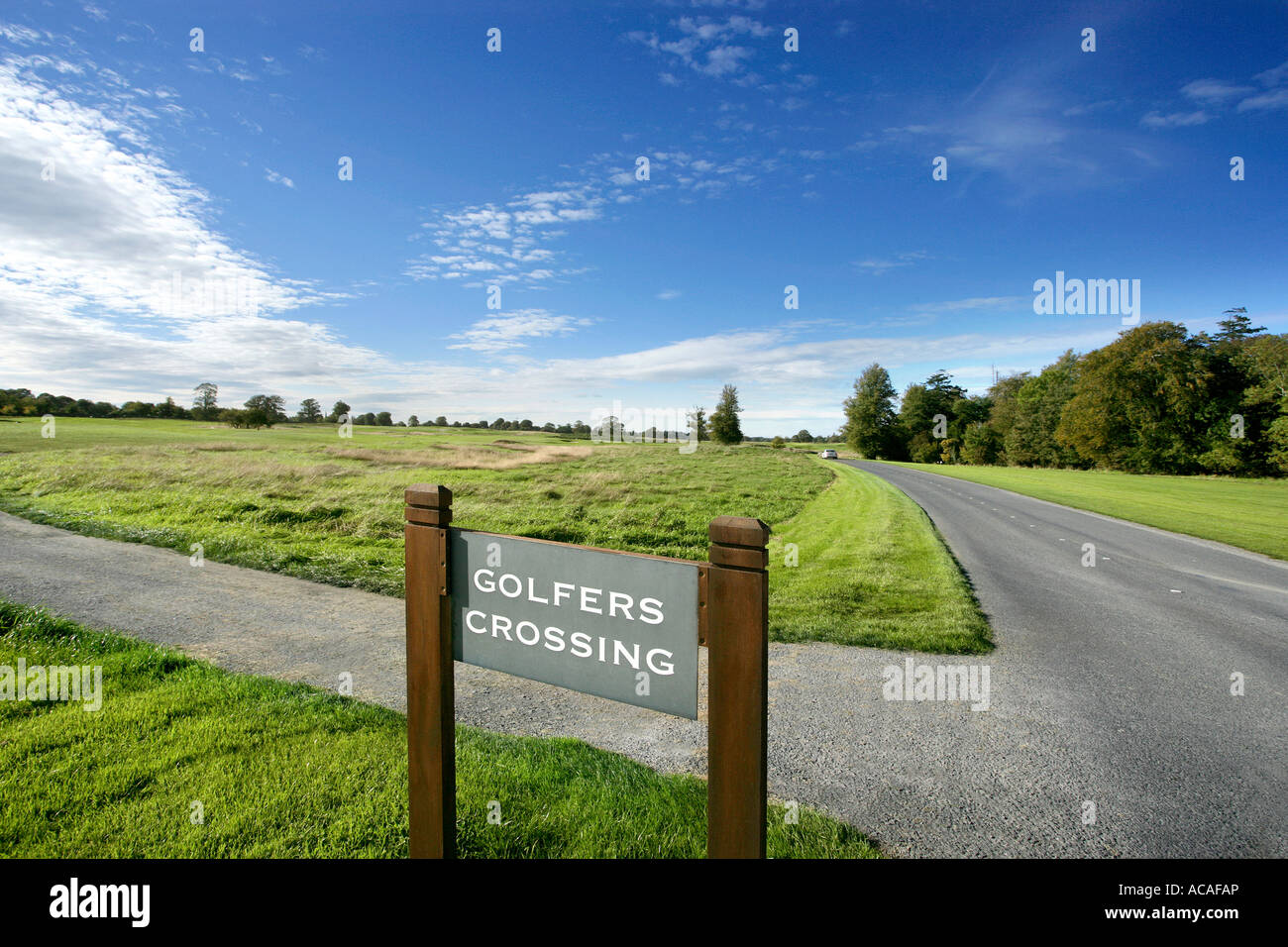 Campo da golf di attraversamento, sport, erba, verde, verde, fairway Foto Stock