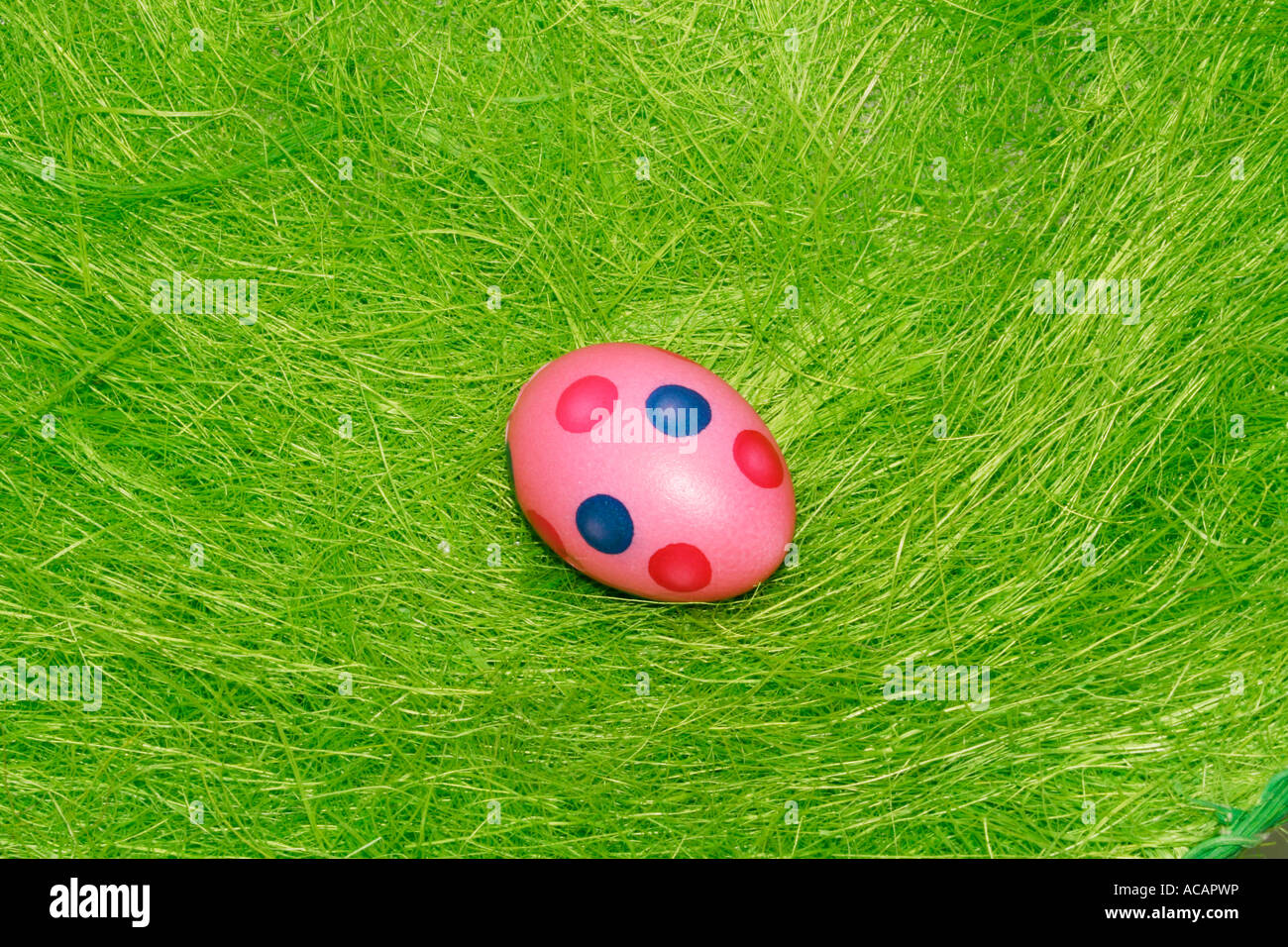 Dipinto di uovo di pasqua sull'erba Foto Stock
