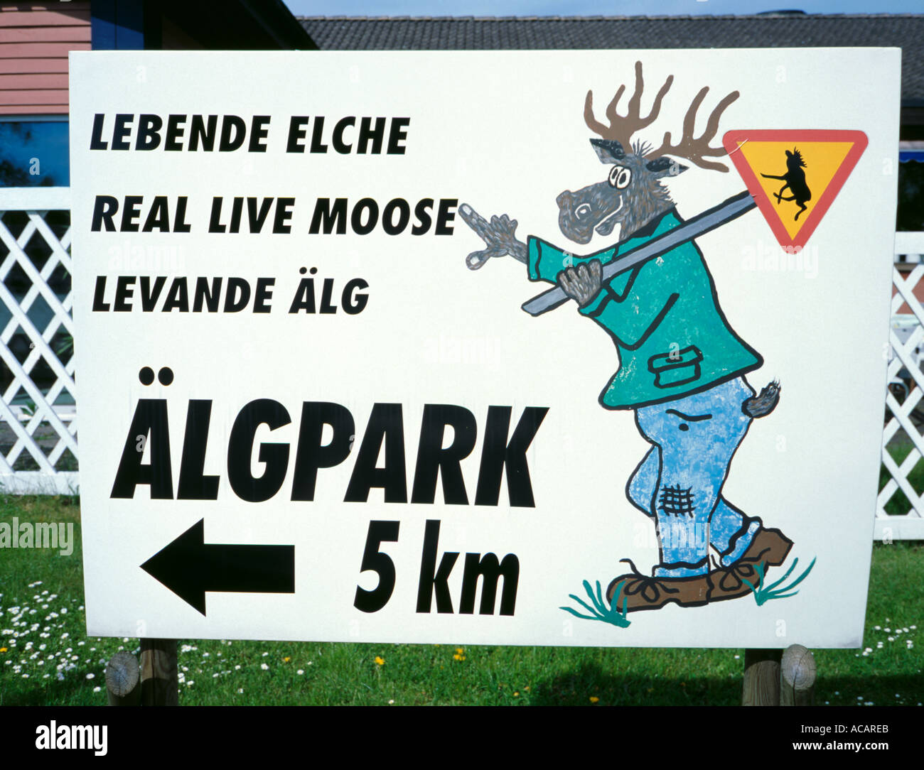 Elk park scheda annuncio, Kosta, Kalmar Län, Småland, Svezia. Foto Stock