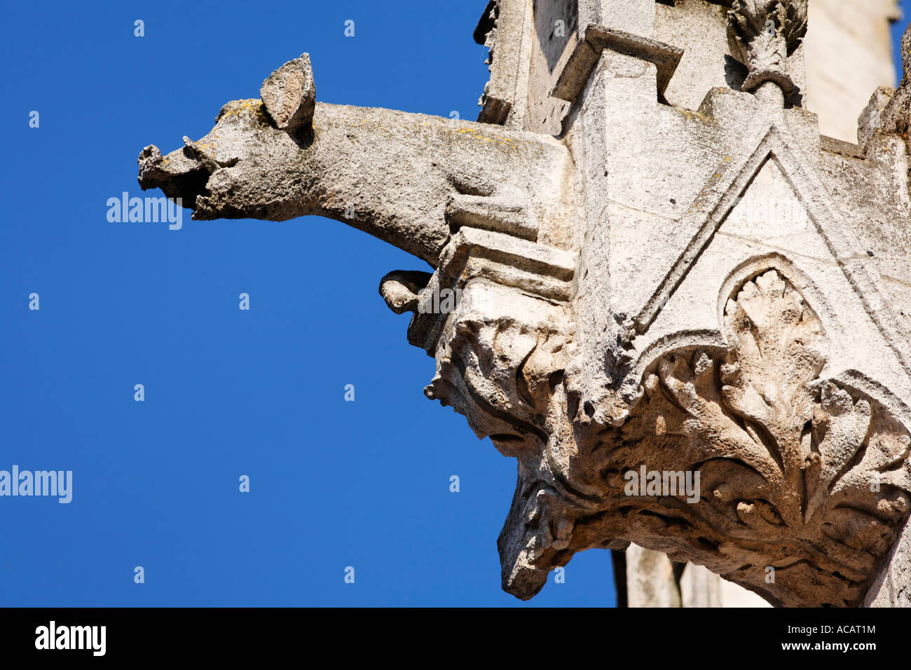 Gargoyle, San Pietro cattedrale di Regensburg, Alto Palatinato, Baviera, Germania Foto Stock
