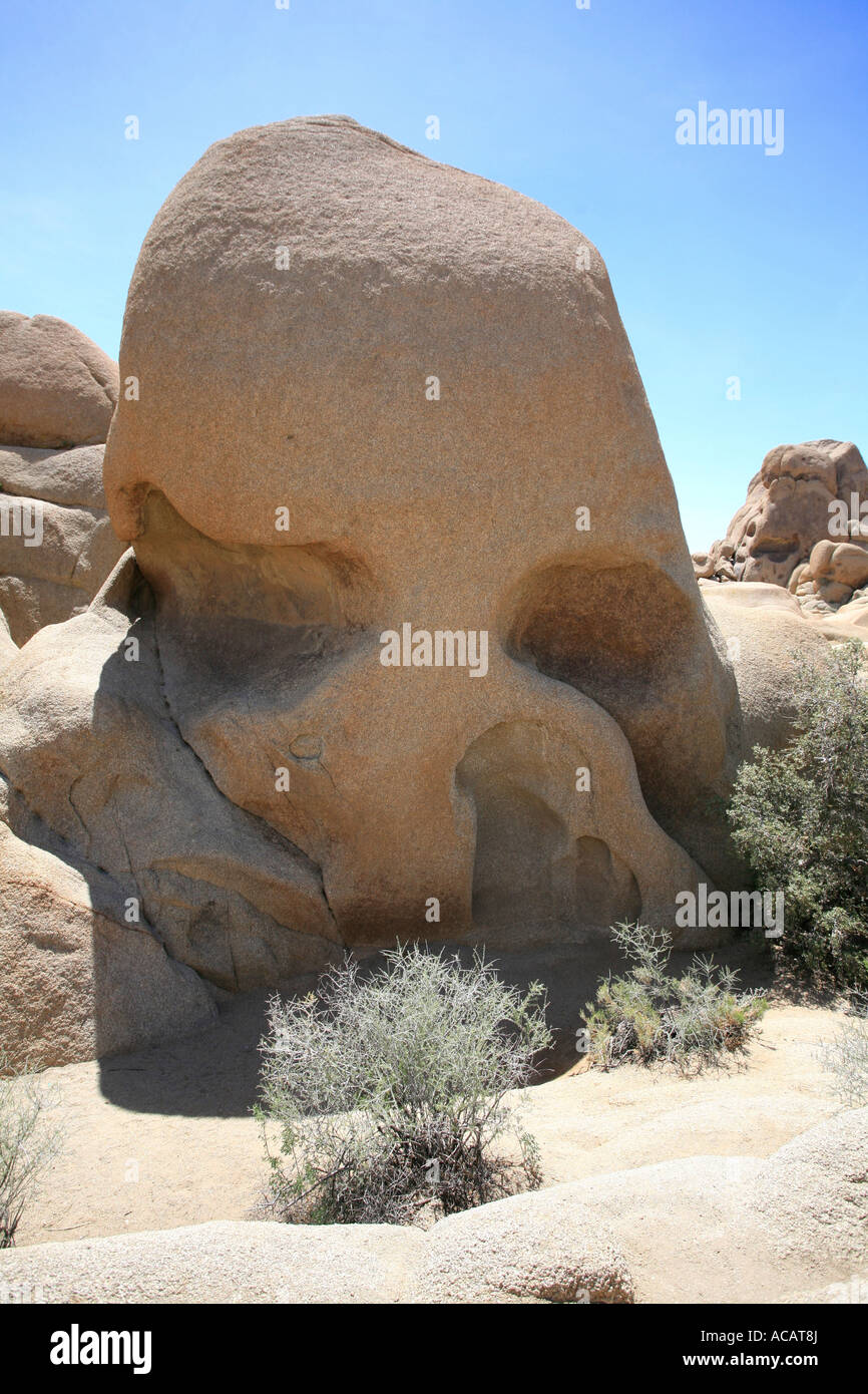 Cranio Rock formazione geologica, Joshua Tree National Park, California, Stati Uniti d'America Foto Stock