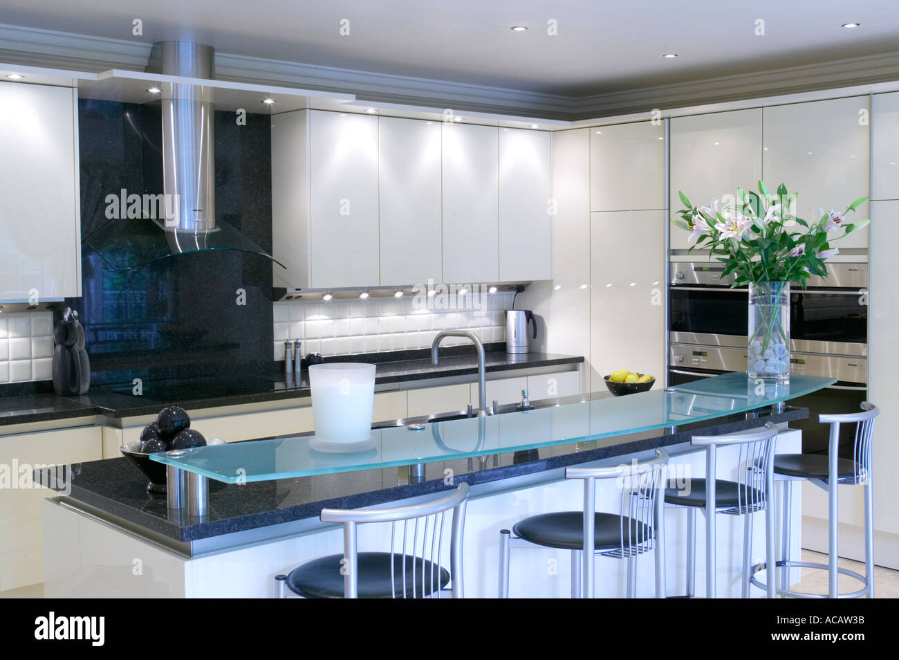 Cucina moderna in casa nuova con costosi apparecchi Foto Stock