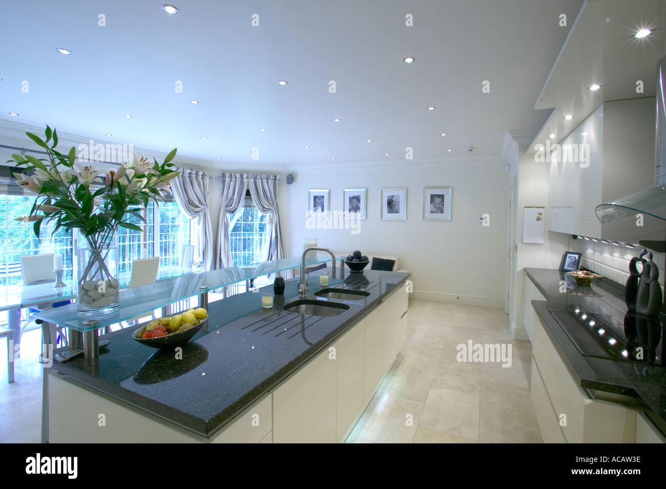 Cucina moderna in casa nuova con costosi apparecchi Foto Stock