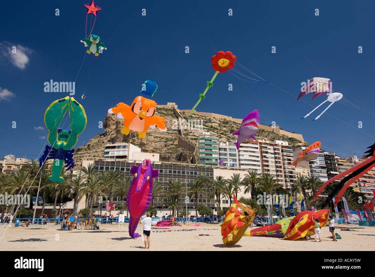 Aquiloni volare su Playa de Postiguet di Alicante Costa Blanca Spagna Foto Stock