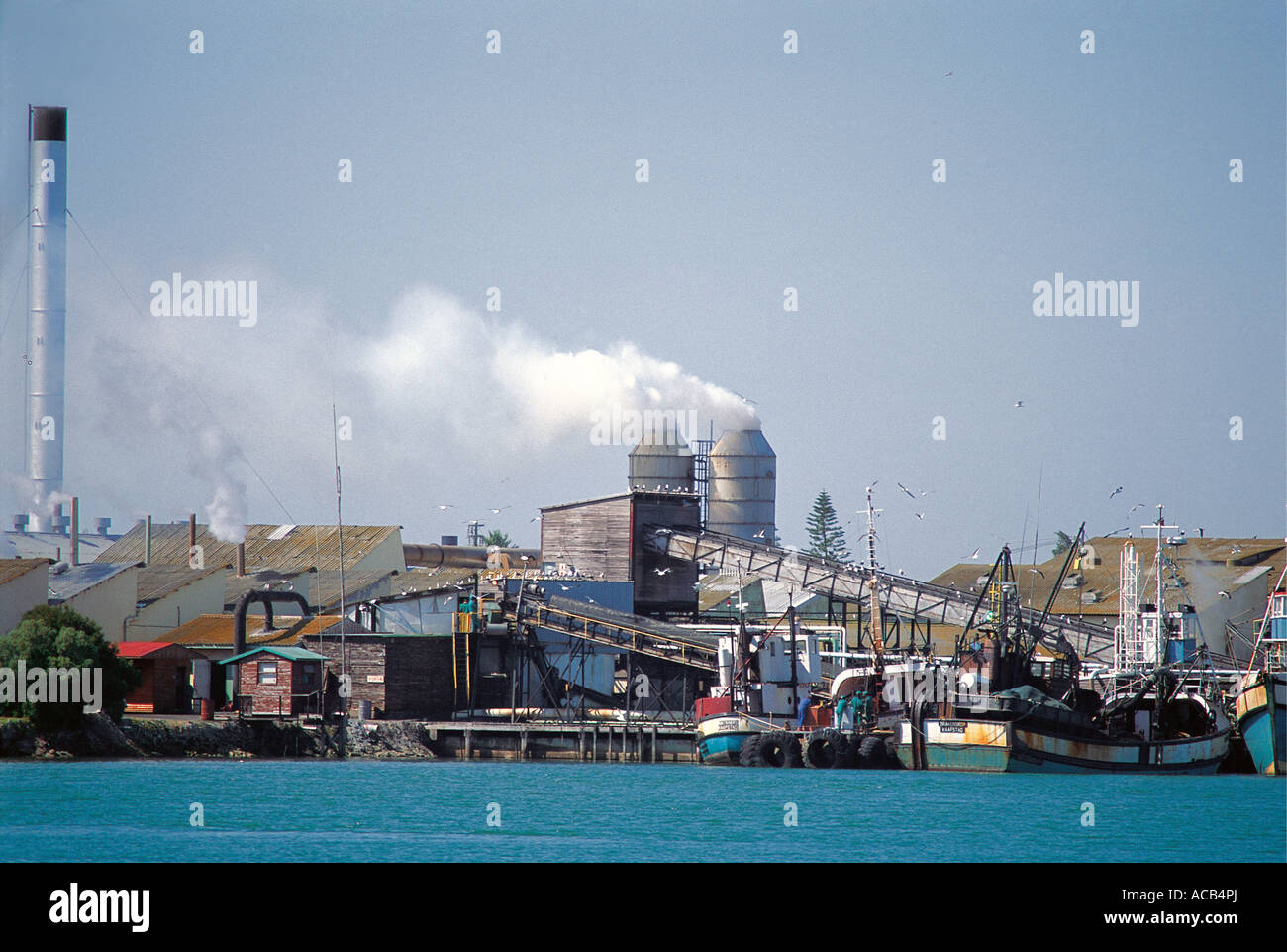 La lavorazione del pesce fabbriche a Laaiplek West Coast Cape Sud Africa Cape Foto Stock