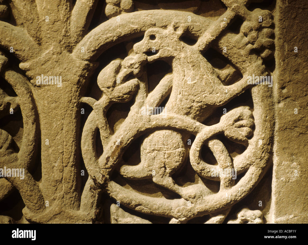 Jedburgh Abbey, Saxon stone carving, arte, scultura, regione di frontiere, Scozia, storia, patrimonio sculture scozzese Foto Stock