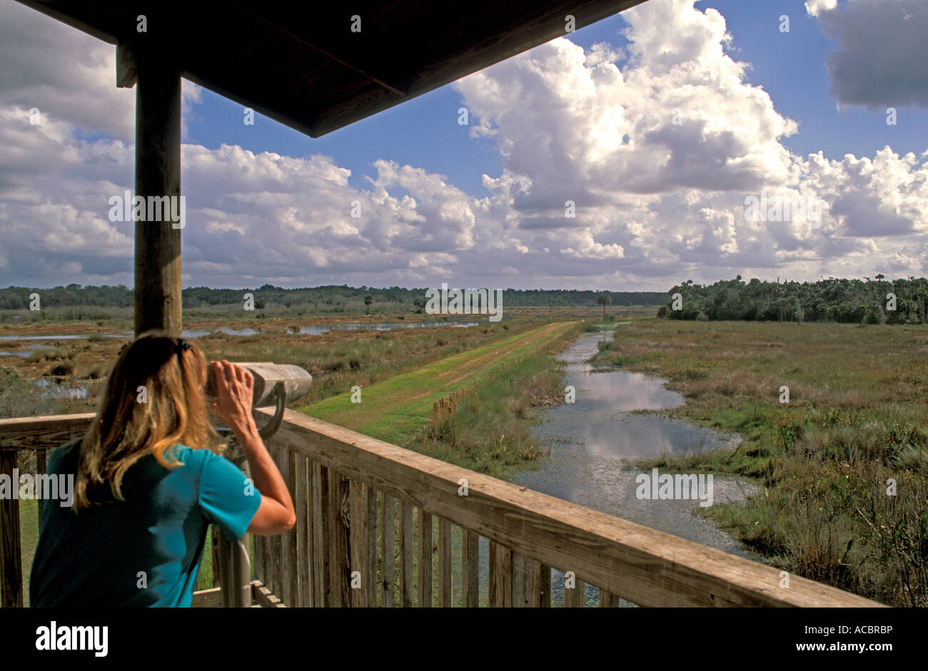 Il lago di Woodruff National Wildlife Refuge donna nella torre di osservazione Florida Foto Stock