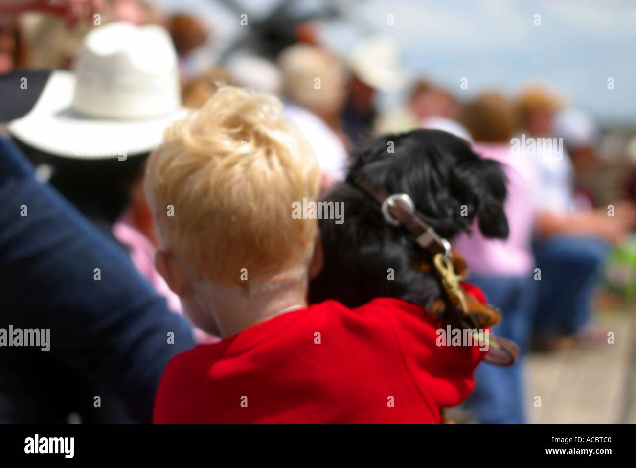 Rodeo Alberta Canada il spectato un ragazzo e il suo cane Foto Stock