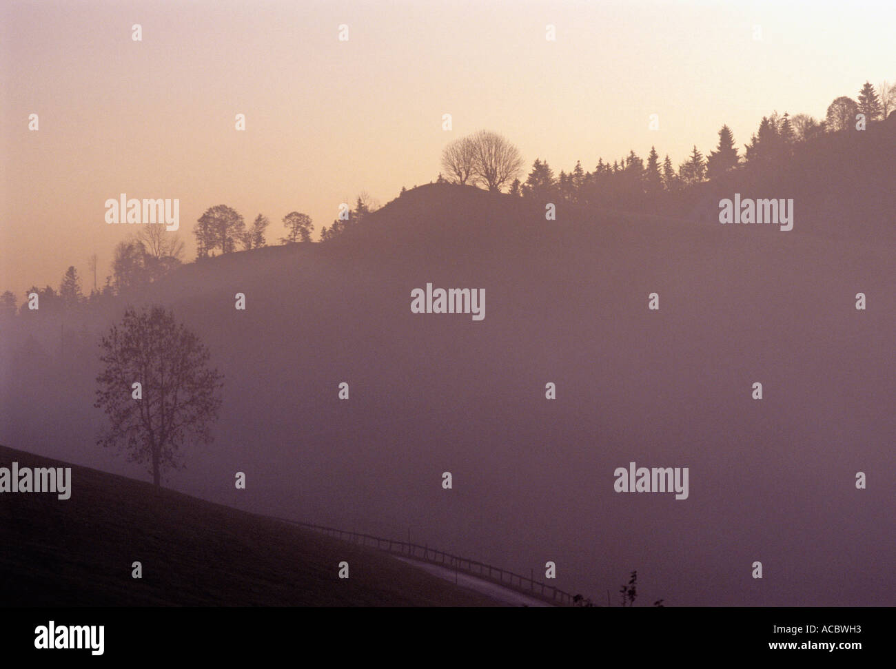 Scenario di nebbia al mattino il cantone di Appenzello esterno svizzera Foto Stock