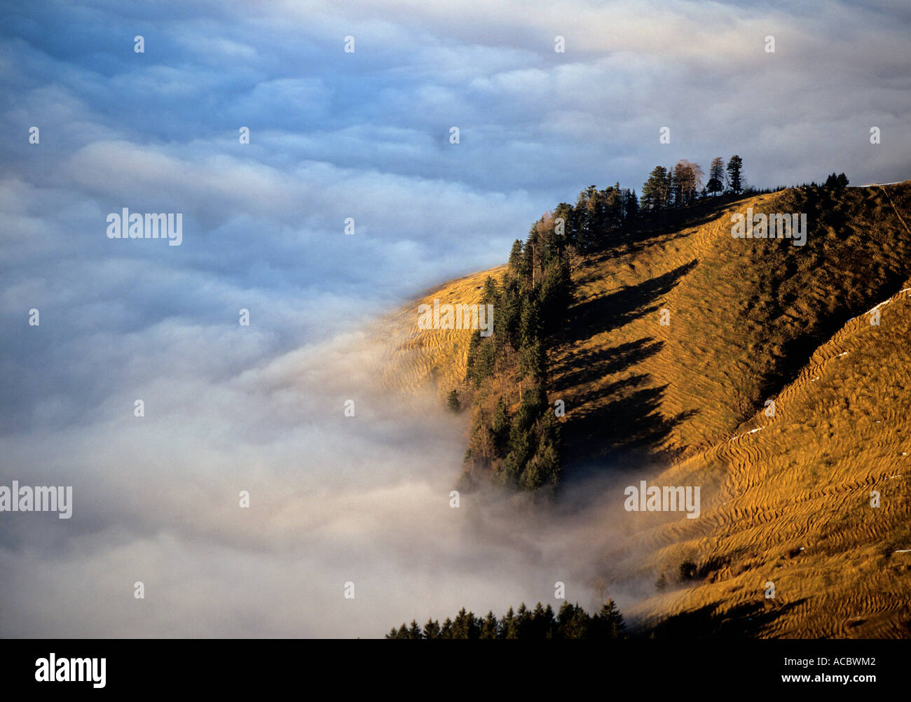 Vista dalla gamma della montagna di rigi più elevata di nebbia a sera swiss alpes il cantone di Lucerna svizzera Foto Stock