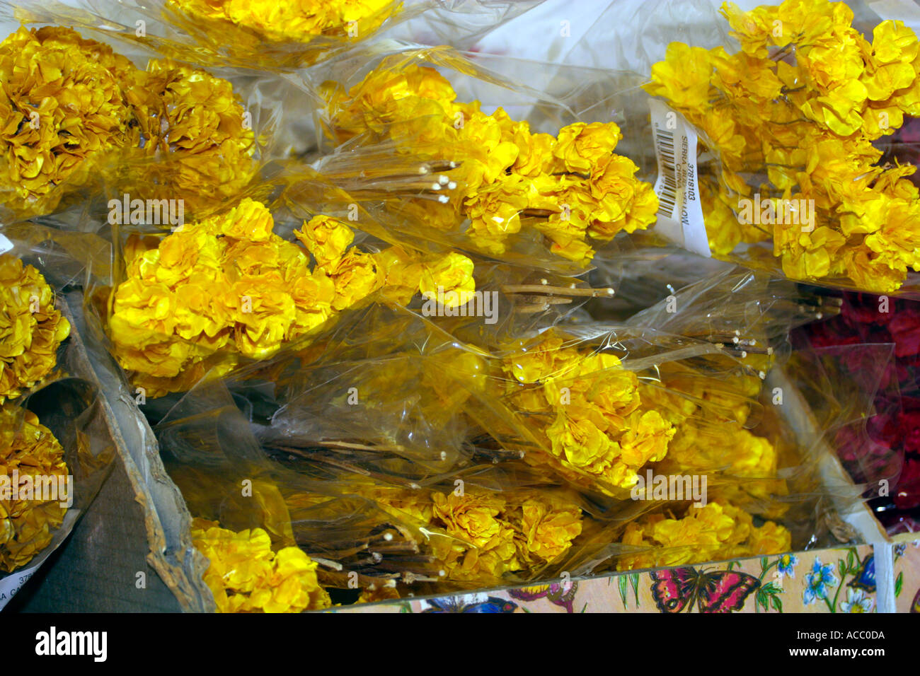 Prodotti botanici decorativo in similpelle di fiori Foto Stock