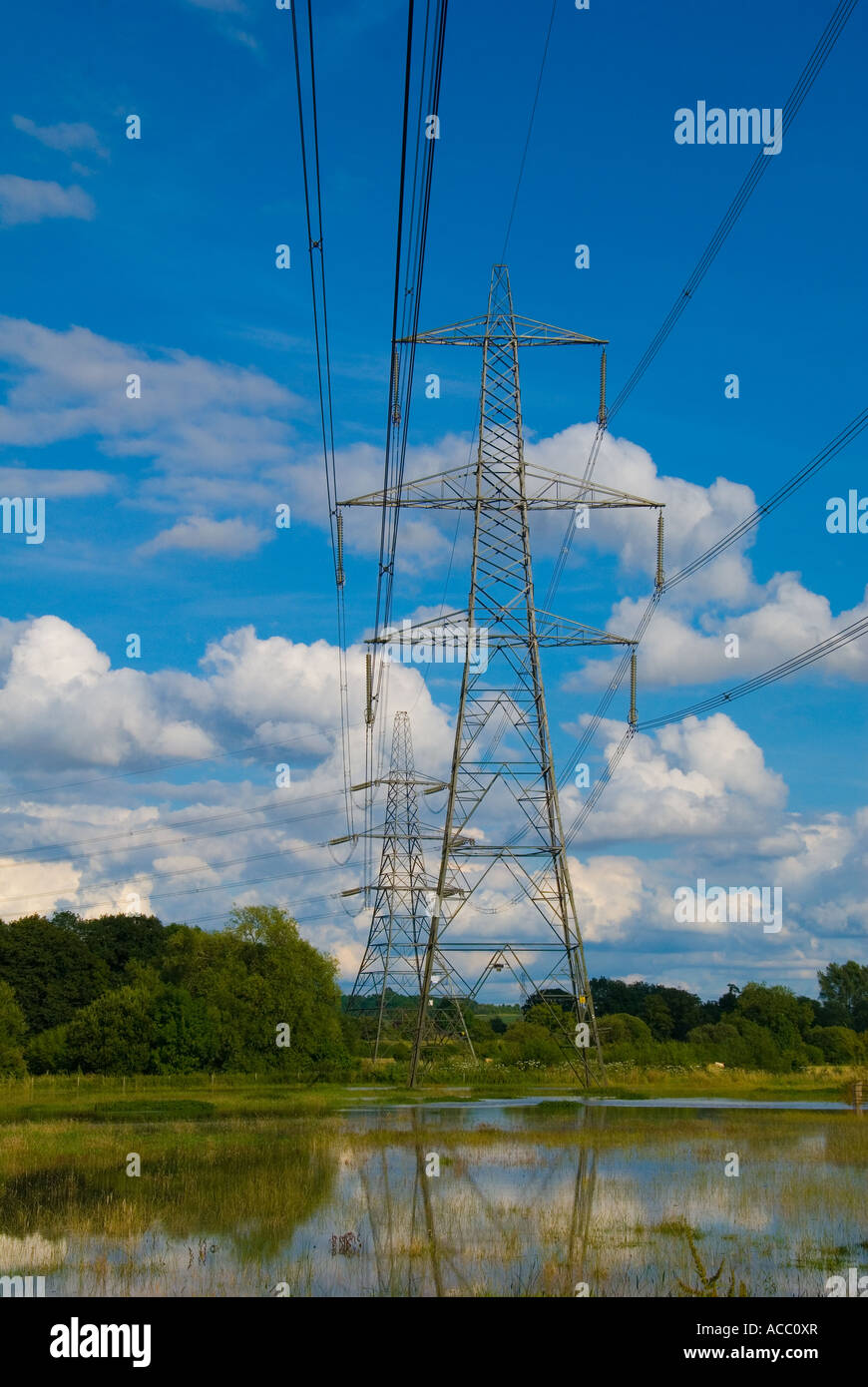 Pilone di elettricità in un campo inondato Foto Stock