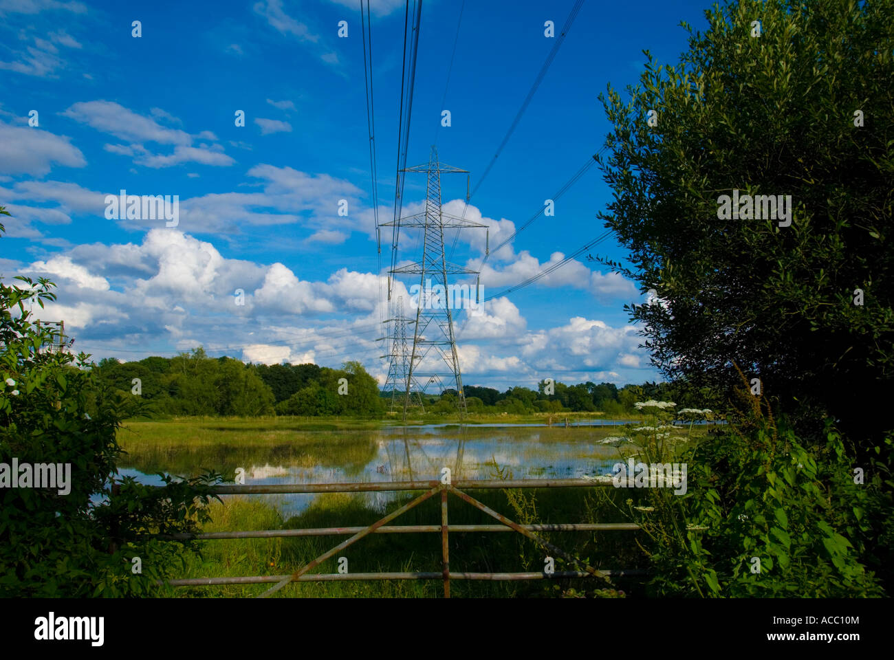 Pilone di elettricità in un campo inondato Foto Stock