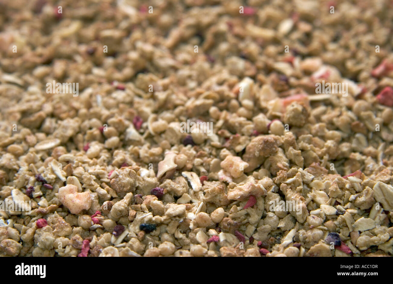 Close-up studio immagine di cereali Foto Stock