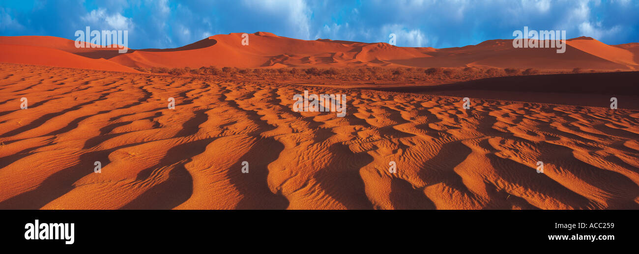 Le dune di sabbia della Namibia Foto Stock