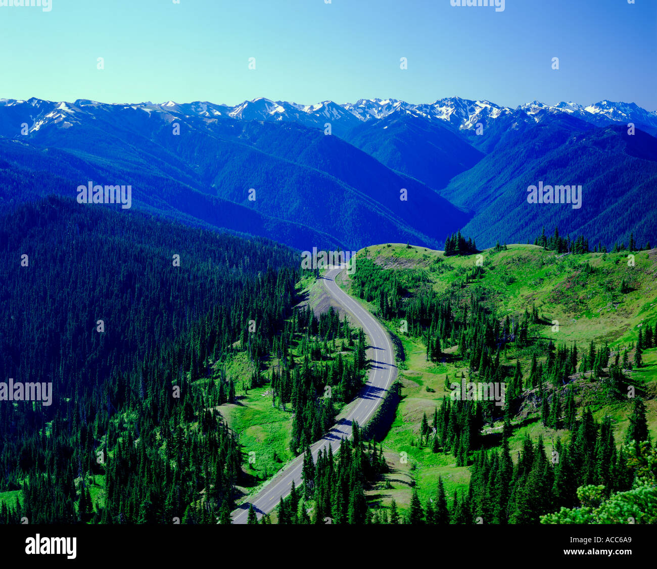 Hurricane Ridge Road nel Parco Nazionale di Olympic nello Stato di Washington STATI UNITI D'AMERICA Foto Stock