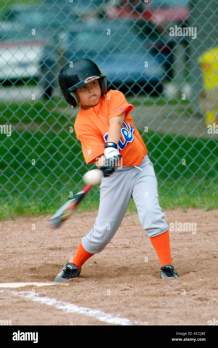 Baseball Softball little League azione Foto Stock