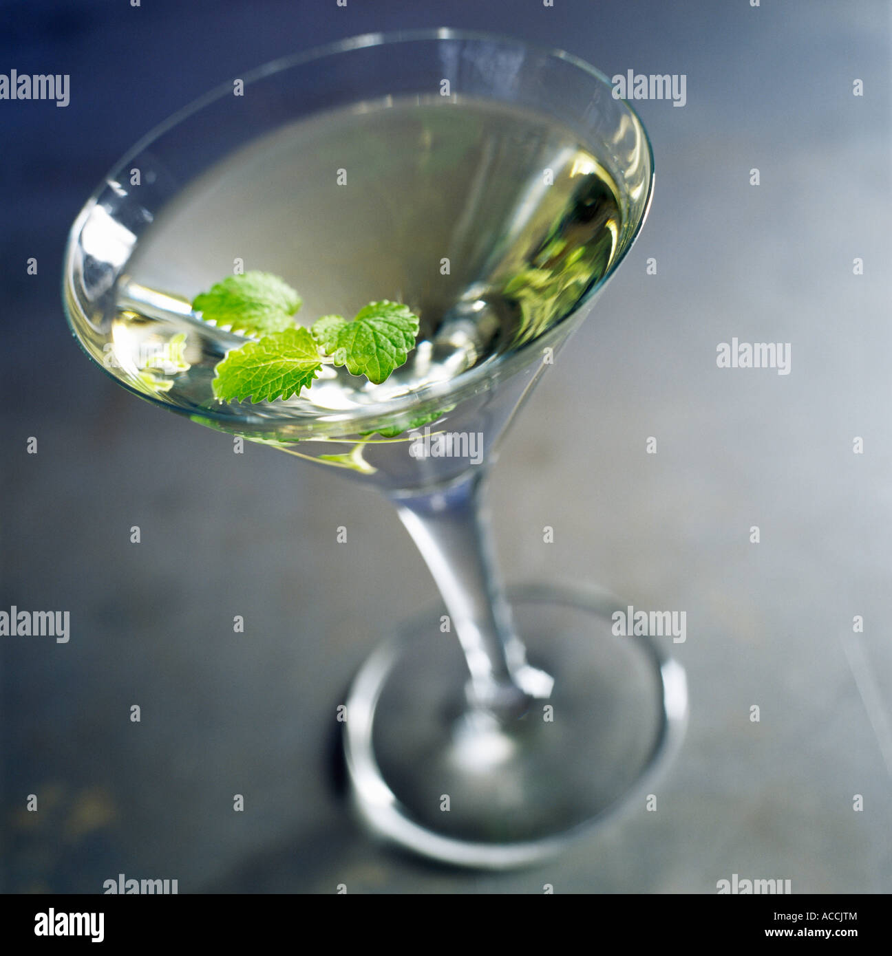 Un martini con melissa fotografato dal di sopra di close-up. Foto Stock