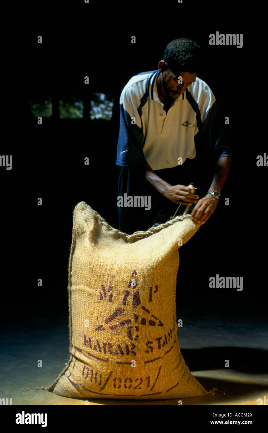Etiopia, un uomo cucitura 60Kg sacchetto Harar star chicchi verdi di caffè per l'esportazione. Foto Stock