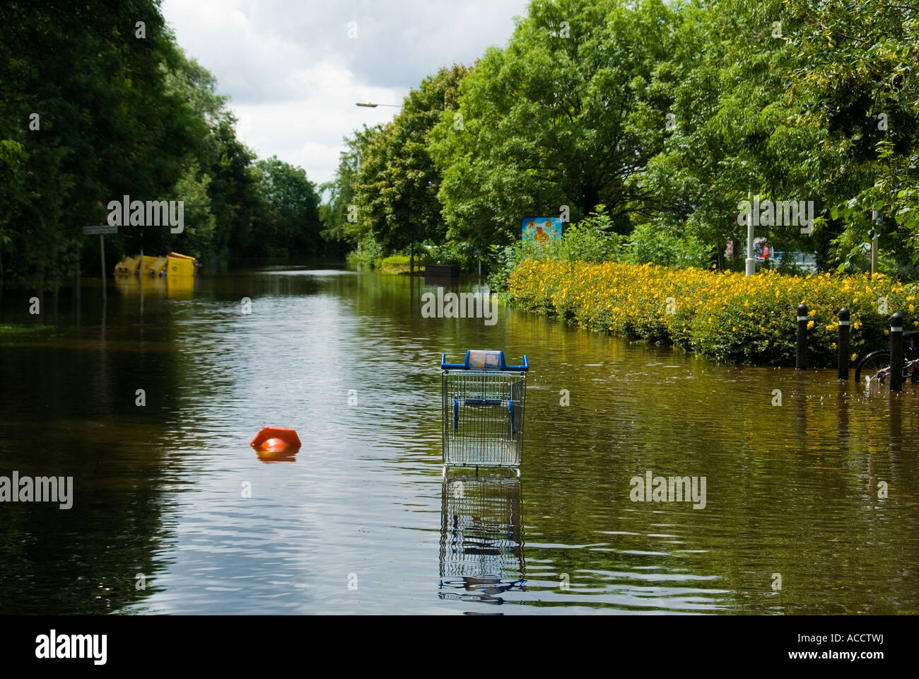 In un invaso supermercato Parcheggio Auto Foto Stock