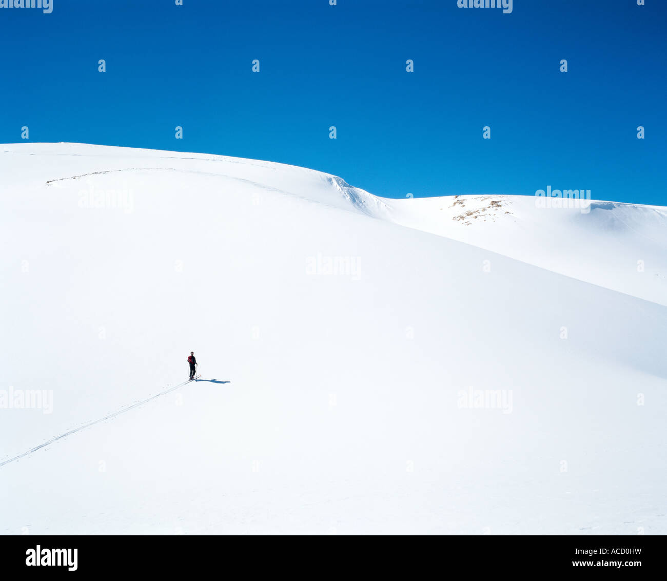 Sciare in Libano. Foto Stock