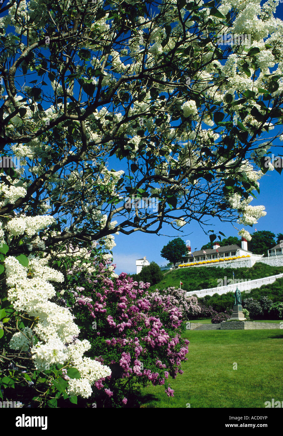 Isola di Mackinac lilla alberi in estate con il Fort Mackinac e Padre Marquette statua in background, Michigan Foto Stock