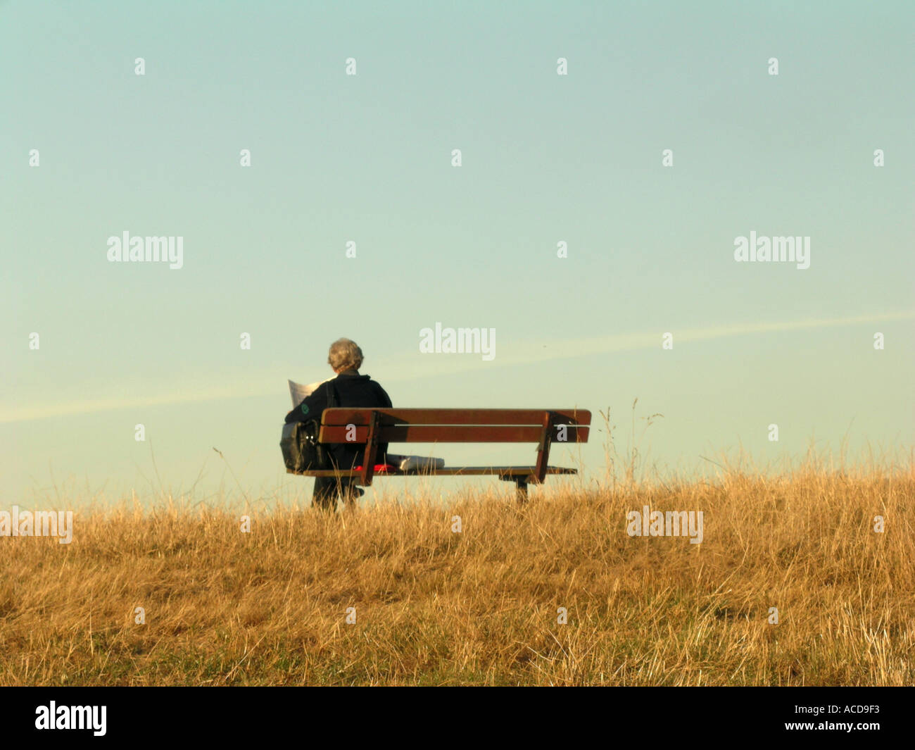 Giorno donna lettura su una panchina nel parco su Hampstead Heath Londra Foto Stock