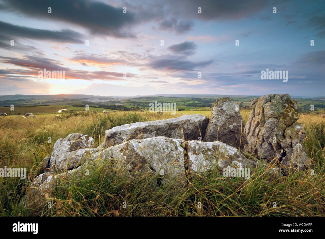 "Cinque Pozzi' chambered luogo di sepoltura su Taddington Moor nel Derbyshire " Gran Bretagna Foto Stock