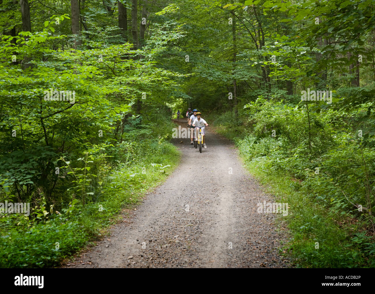 Ciclisti su di un percorso Foto Stock