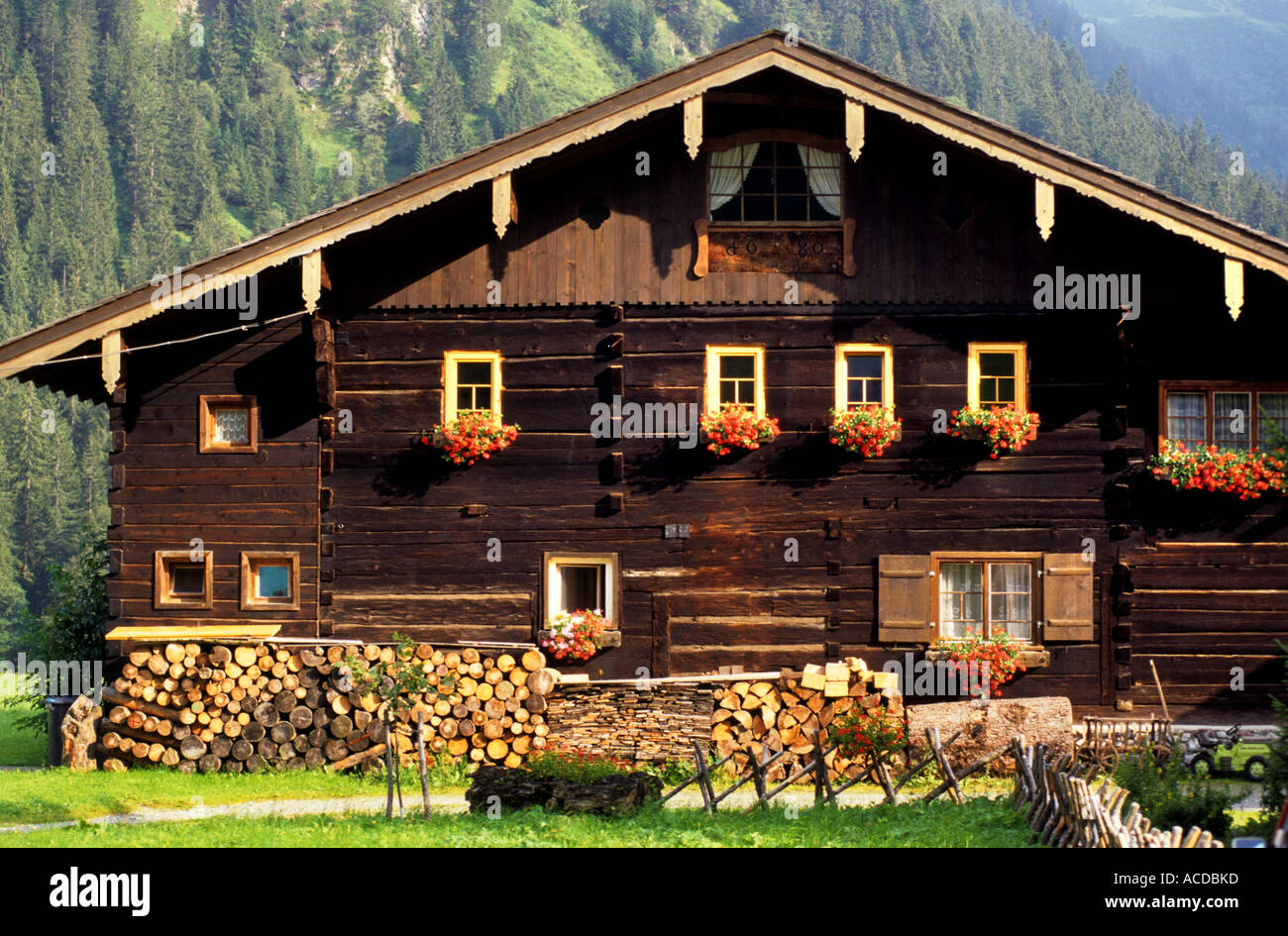 Austria Austria fiori Agriturismo Casa chalet di campagna fiori fiore giardino oganic botanie fiore sboccia luminosa Foto Stock