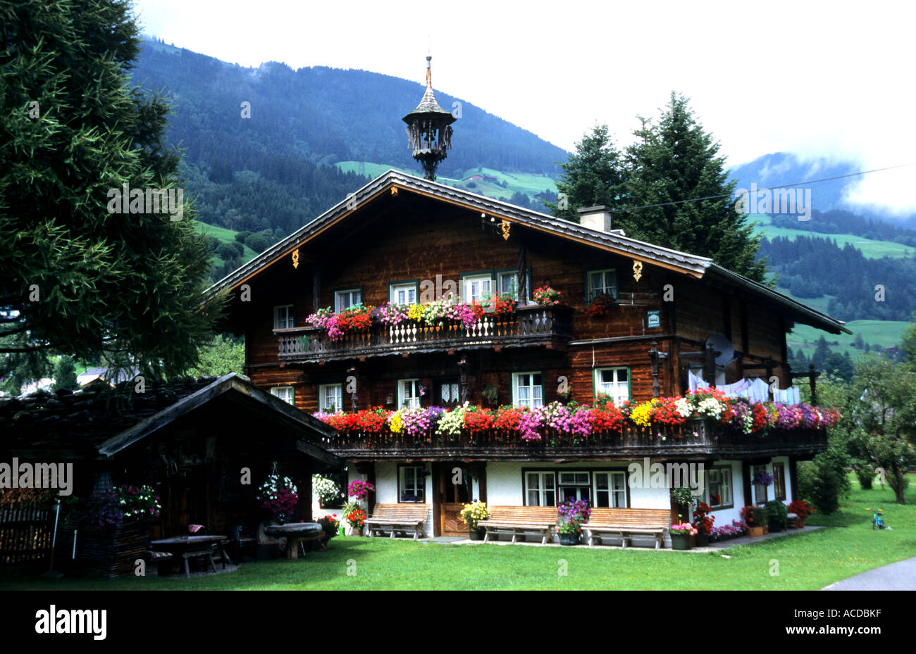 Austria Austria fiori Agriturismo Casa chalet di campagna fiori fiore giardino oganic botanie fiore sboccia luminosa Foto Stock