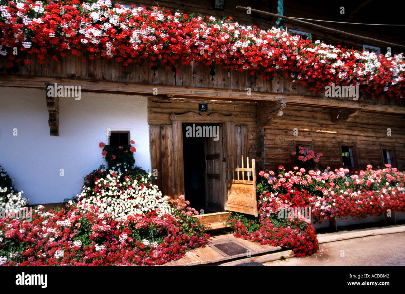 Austria Austria fiori Agriturismo Casa chalet di campagna fiori fiore giardino oganic botanie fiore sboccia luminosa Foto Stock