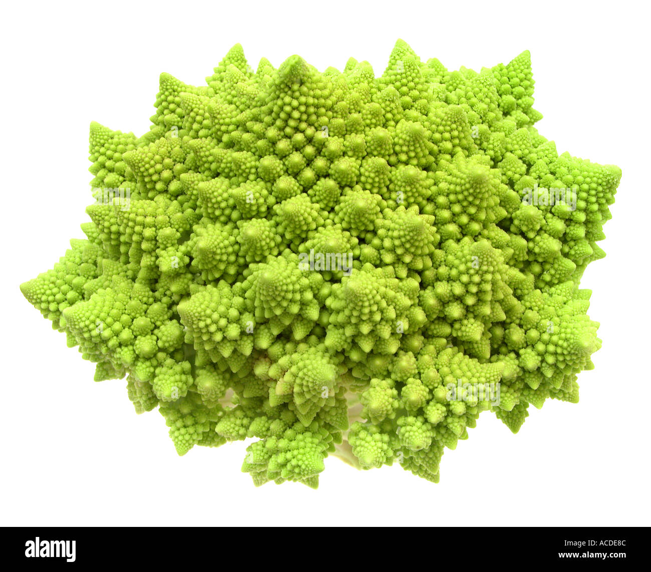 ROMANESCO una bizzarra cavolo ordina Foto Stock