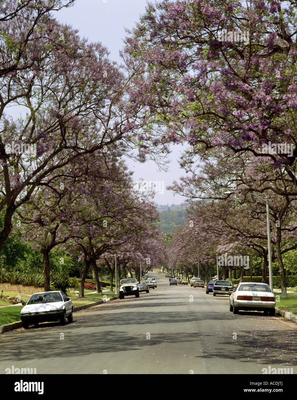 Geografia / viaggio, USA, California, Los Angeles, Beverly Hills, alta Drive, , Foto Stock