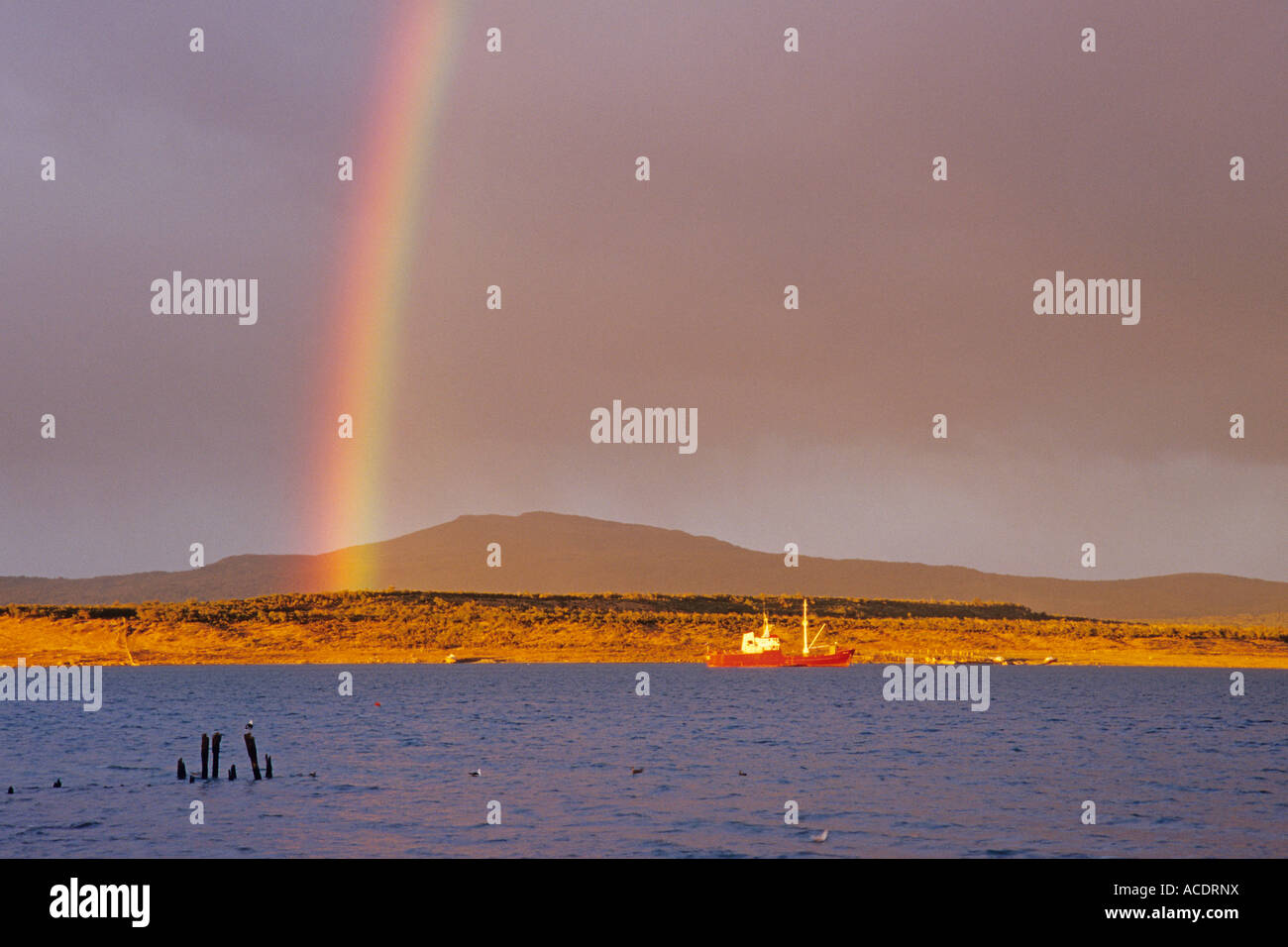 Rainbow su ultima speranza Suono, Puerto Natales, Patagonia, Cile Foto Stock